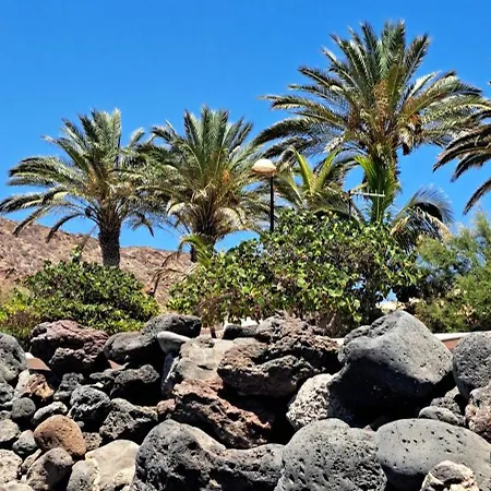 Апартаменты Casa Ella Эль-Пальмар