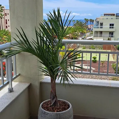 Апартаменты Casa Ella Эль-Пальмар