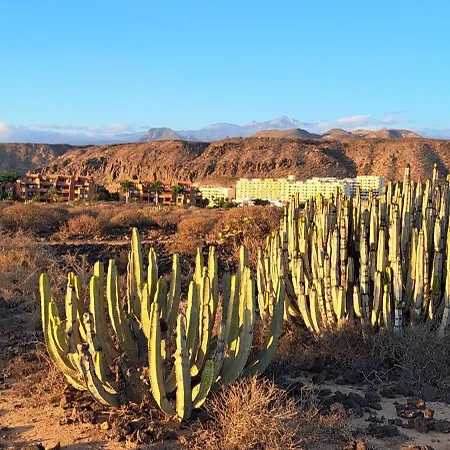 Casa Ella * 팔름-마르