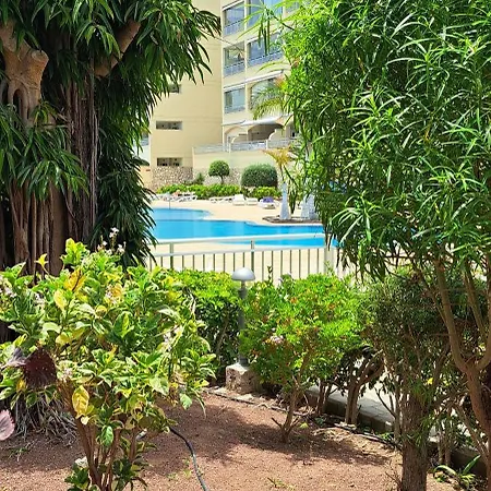 Casa Ella 팔름-마르