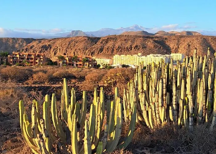 Casa Ella * Palm-mar