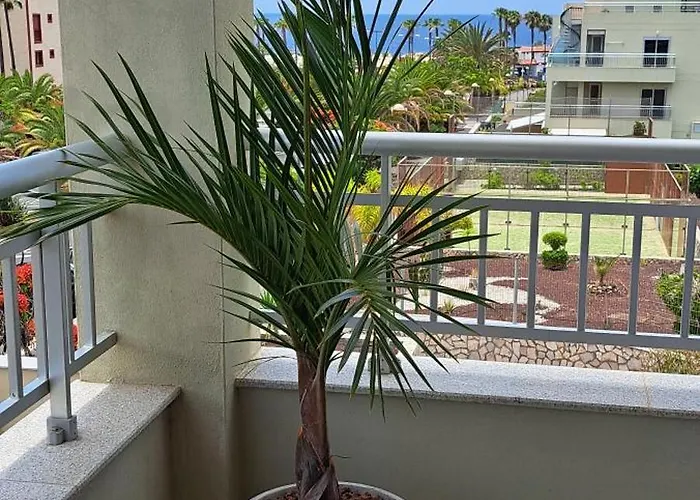 Lejlighed Casa Ella Palm-mar